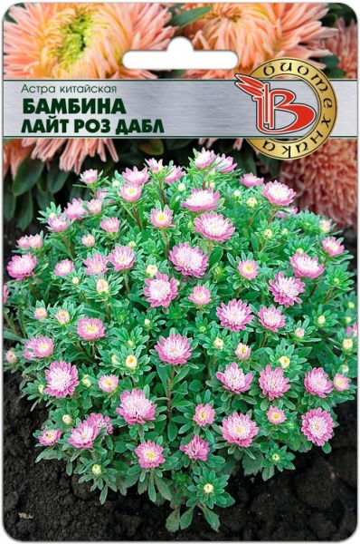 Бамбина