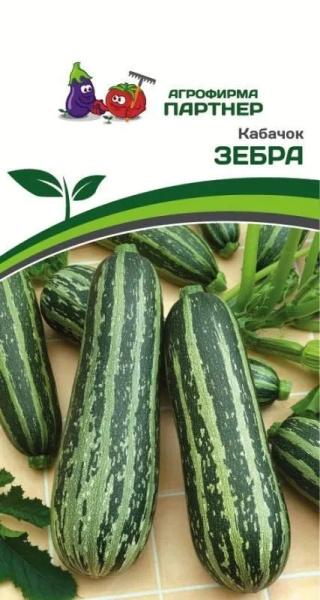 Кабачок зебра