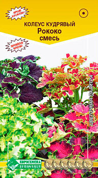 Колеус Рококо кудрявый, смесь (15шт) Евросемена/10