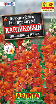 Львиный зев Карликовый оранжево-красный (10шт) Аэлита/10