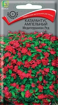 Катарантус Медитерранеан Ред, ампель. (10шт) Поиск/10