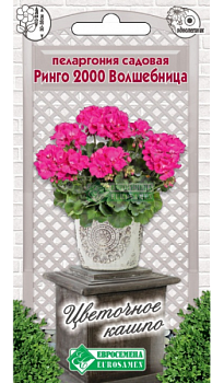 Пеларгония Ринго 2000 Волшебница садовая (3шт) Евросемена/10