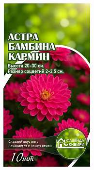 Астра Бамбина Кармин (10шт) Фазенда Сибири/10