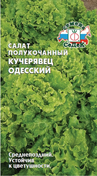 salat_kucheryavets_odesskiy