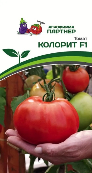 Колорит