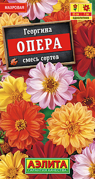 Георгина Опера смесь (7шт) Аэлита/10