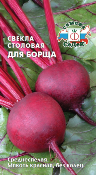 svekla_dlya_borshcha