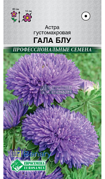 Астра Гала Блу густомахровая (10шт) Евросемена/10