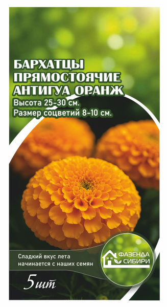 Бархатцы прямостоячие Antigua  Orange