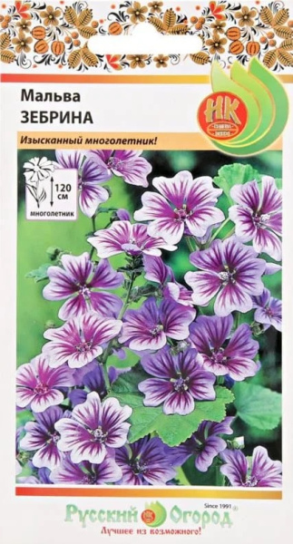 Мальва зебрина