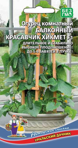 ogurec-dlya-balkonov-lodzhiy-i-podokonnikov-krasavchik-hikmet-f1