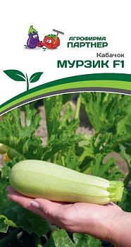 Кабачок Мурзик F1 (5шт) Партнер/10