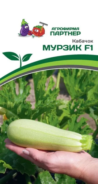 Кабачек мурзик