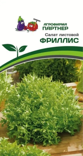 Салат фриллис