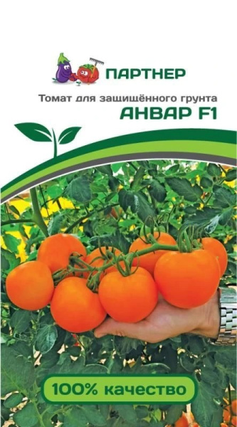 Томат Анвар