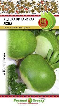 Редька Лоба китайская (1г) НК/10