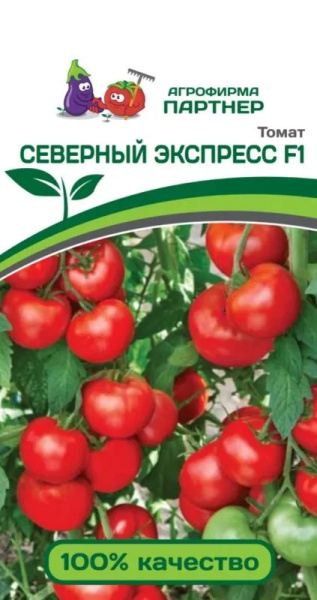 Томат Северный экспресс