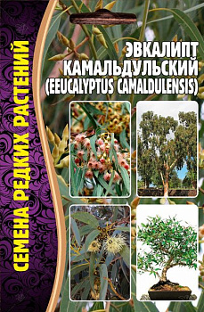 Эвкалипт Камадульский (0,01г) Редкие овощи/10