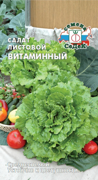 salat_vitaminnyy 1
