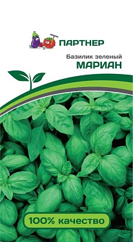 Базилик Мариан (1г) Партнер/10