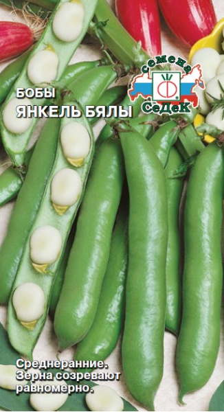 boby_yankel_byaly (1)