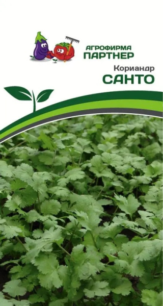 Кориандр санто