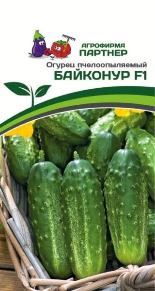 Огурец Байконур