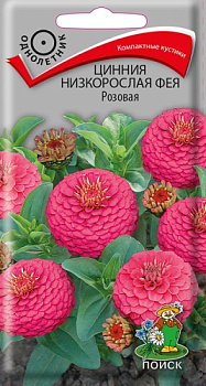 Цинния Фея Розовая, низкорослая (0,1г) Поиск/10