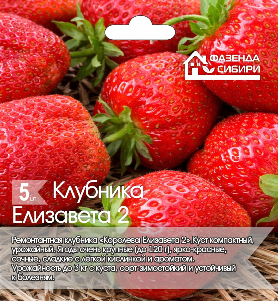 Елизавета 2 АСТ