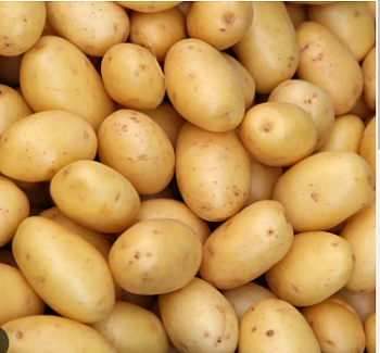 Картофель семенной "Лада" (среднеранний столовый желтый сорт) 2 кг (+/- 5%), цена за 2 кг