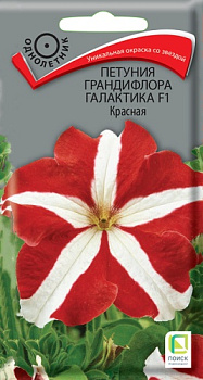 Петуния Галактика красная (10шт) Поиск/10
