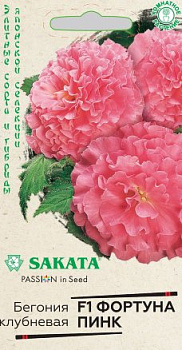 Бегония Фортуна Пинк F1 (4шт) Гавриш/10