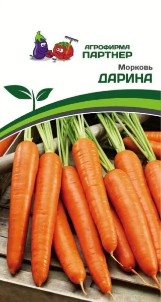 Морковь дарина