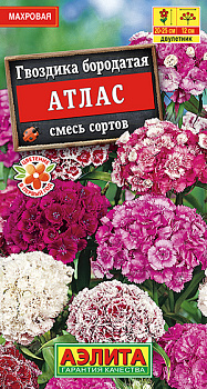 Гвоздика турецкая Атлас махровая, смесь (0.3г) Аэлита/10