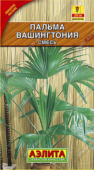 Пальма Вашингтония (2шт) Аэлита/10