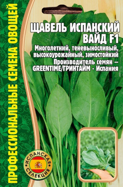 Вайд