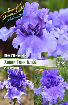  Ирис германский Хонки Тонк Блюз (1шт) Колорлайн
