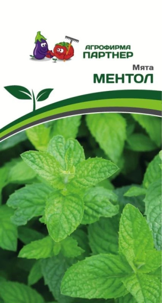 Мята ментол