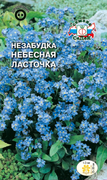 nezabudka_nebesnaya_lastochka_alpiyskaya