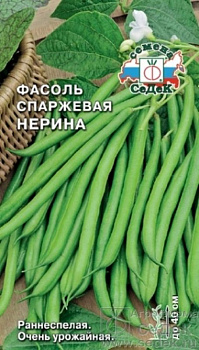 Фасоль спаржевая кустовая Нерина (5г) СеДеК/10