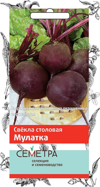1Свекла Мулатка Семетра 3г Поиск/10