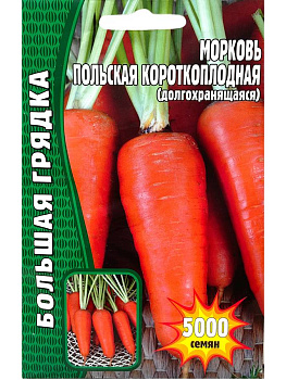 Морковь Польская короткоплодная (долгохранящаяся) (5000шт) Редкие Овощи/10