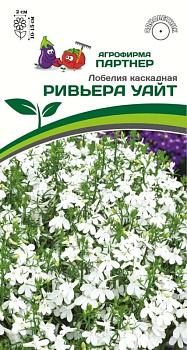 Лобелия Ривьера Уайт каскад. (10шт) Партнер/10