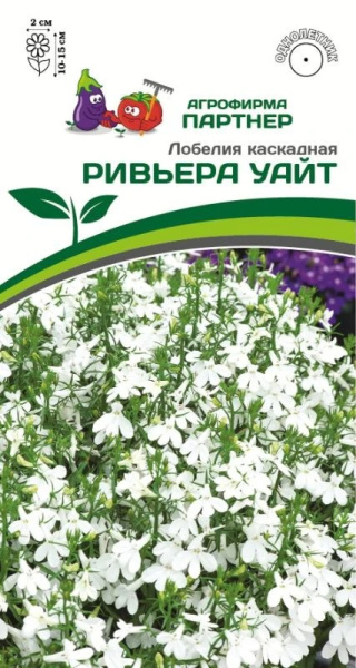 Лобелия ривьера Уайт