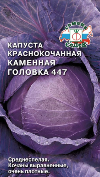 kapusta_kamennaya_golovka_447