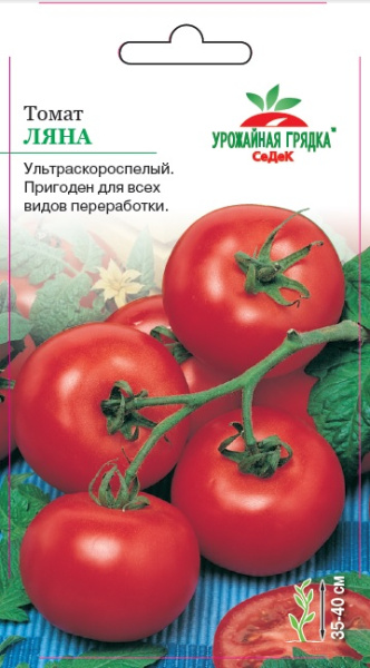 tomat_lyana (1)