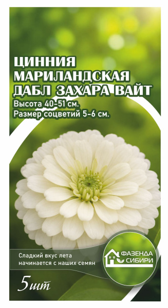 Цинния мариландская Double Zahara   White
