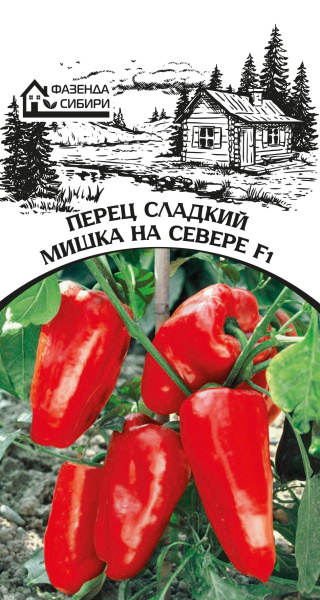 perec-mishka-na-severe-faz-70-04-ru