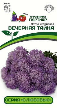 Астра Вечерняя Тайна китайская (5шт) Партнер/10