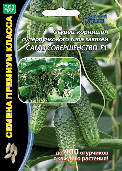 ogurec-kornishon-superpuchkovogo-tipa-zavyazey-samo-sovershenstvo-f1